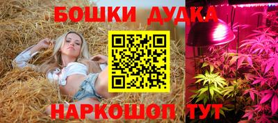 стаф Будённовск