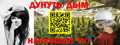 стаф Будённовск